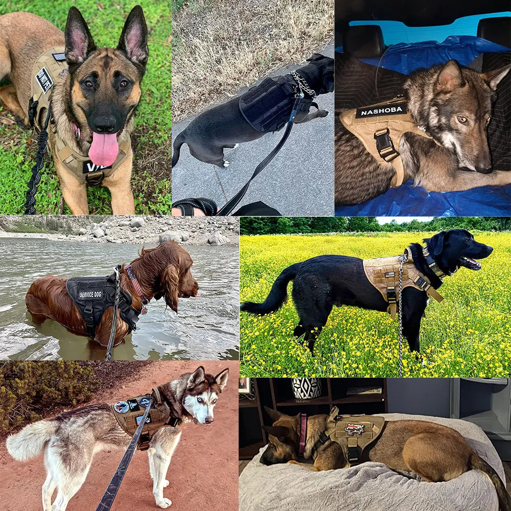 Large Dog Harness And Leash Set, Training Walking Vest Dog Harness And Collar For Medium Large Dogs