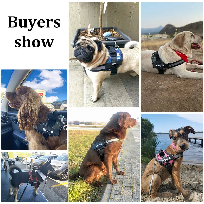 Personalized Dog Harness. NO PULL Reflective Breathable Pet Harness. Vest For Small or Large Dog. Outdoor Walk Training Accessories