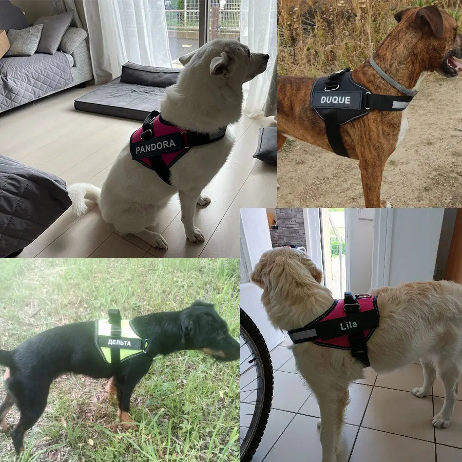 Dog Harness Vest ID Patch Reflective Adjustable